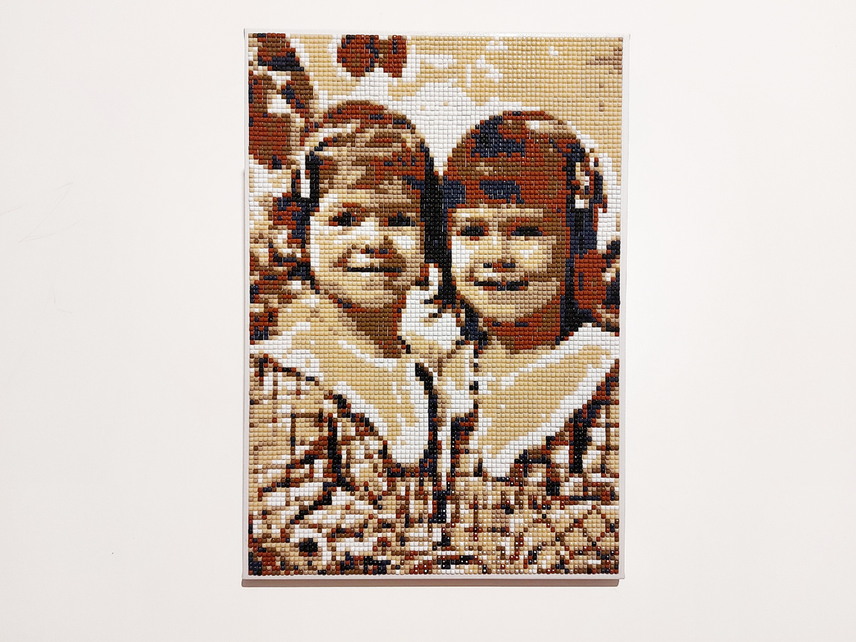 Алмазная мозаика по фотографии