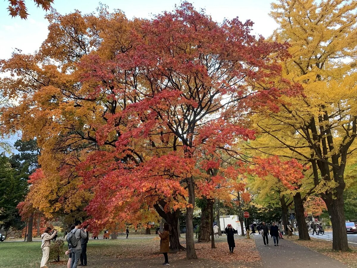     Японский остров Хоккайдо. © "Интерфакс". Юлия Батырь