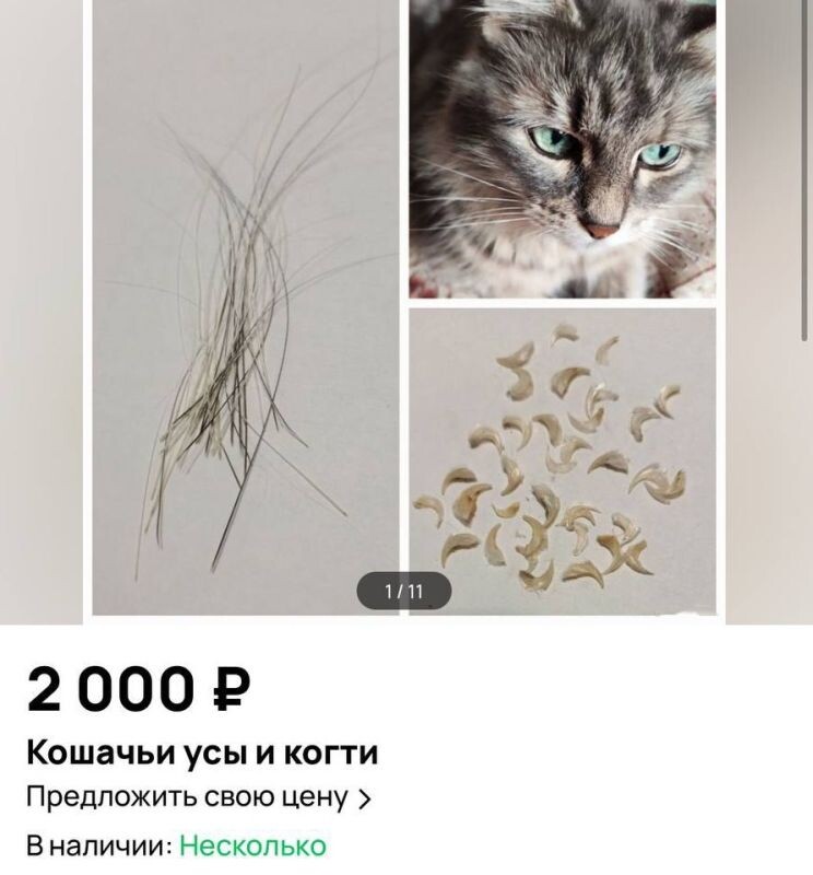    Изображение: скриншот с сайта объявлений