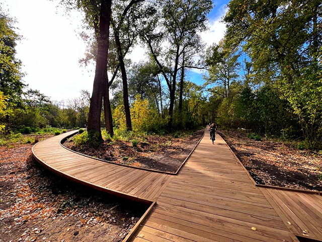    На обслуживание и озеленение Первомайского парка и Боевой дачи область выделяет 60 миллионов рублей