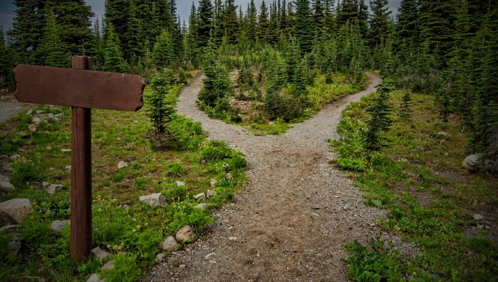 Распутье. Источник оригинального изображения: Pexels.