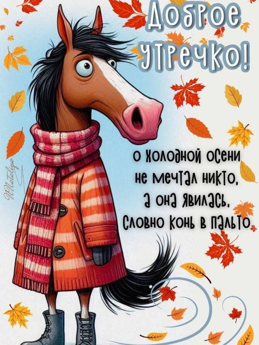 Осень явилась.