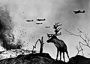 «Олень Яша», автор – военный корреспондент Евгений Халдей