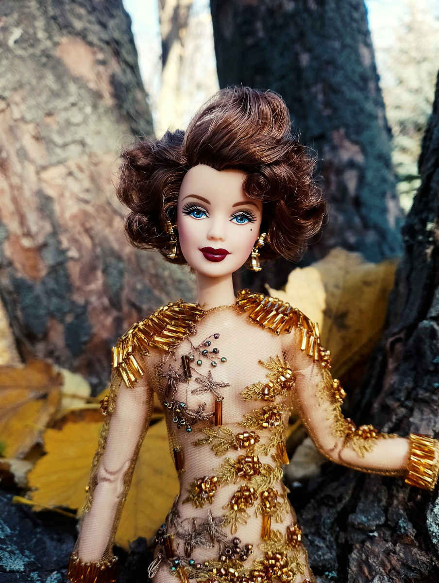 Barbie Publicity Tour