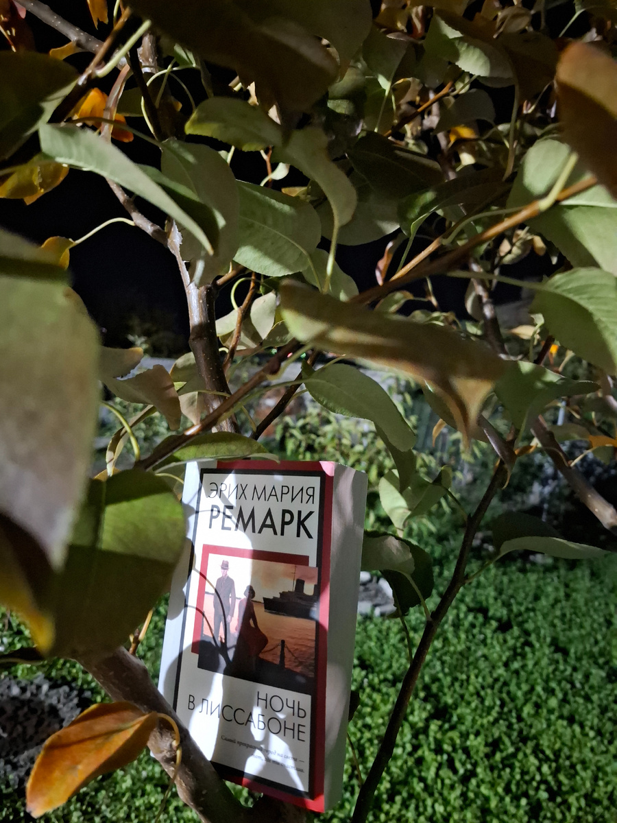 Подписывайтесь также на мой инстаграмм https://www.instagram.com/knizhnaya_polka_streltsa?igsh=bHB5a2psMW14eWt4 там рилсы на книжную тематику и книжные новости👩🏽‍💻
И на мой телеграмм https://t.me/knizhnaya_polka_streltsa
где вы можете найти электронные книги и викторины с призами📚
