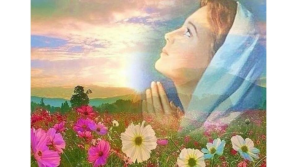 Доброго времени суток, дорогие друзья! Вы наверное слышали  новости о том, что Байден разрешил Украине бить вглубь России ракетами Atakams. Представляете последствия? Думаю, в первую очередь это будет Крым, Донбасс и так далее. Россия ответит и..... вообразить даже страшно!!! Как мы можем это остановить? Вы знаете - молебном, молитвой, аудиозаписями. Поэтому очень ПРОШУ 🙏 переслать ссылку на трехдневный молебен всем, кто есть в ваших контактах, верит он или нет. Господь ВСЕМ дает возможность сделать что-то хорошее для себя, детей, внуков, родных, близких, для человечества и Земли. ДАЙТЕ СЕБЕ ШАНС НЕ ОСТАТЬСЯ РАВНОДУШНЫМИ НАБЛЮДАТЕЛЯМИ!!! Чтобы не было поздно для каждого, уделите всего 20-40 минут в день для молитв, особенно в эти три дня! Да благословит нас всех Господь на осознание важности молебнов и молитв!  https://gubko.info/prayers/684-232425-noyabrya-dni-vseobschih-molitv-na-zemle.html 