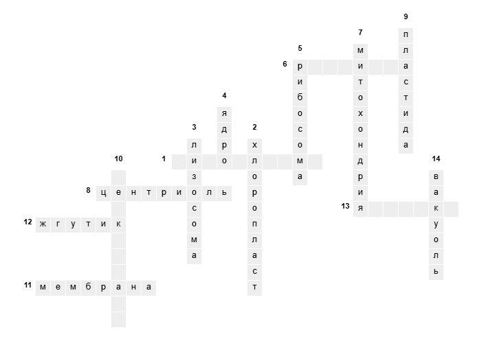 Задачи по биологии. Кроссворд "Органеллы и другие компоненты клетки"