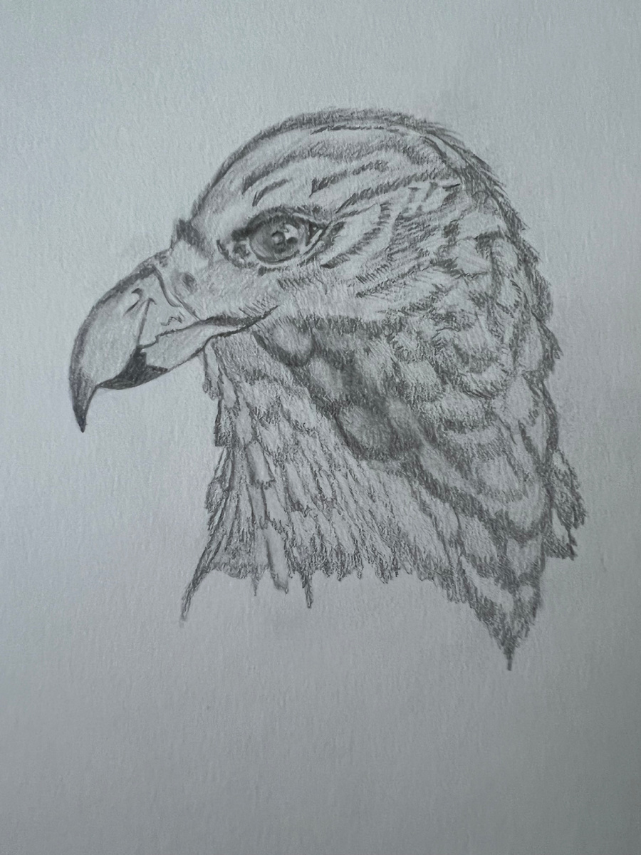 Рисунок автора