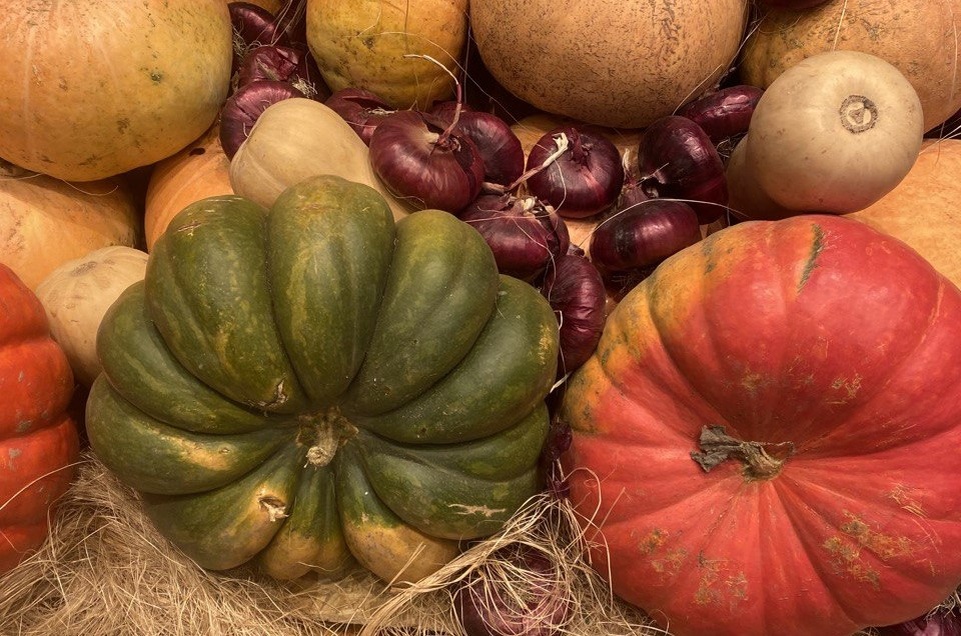 Кто-то по осени собирает урожай, а кто-то ввязывается в новый ремонт