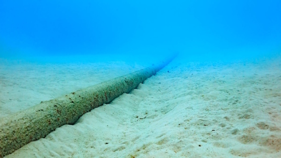    Швеция начала расследование по факту повреждения двух телекоммуникационных кабелей в Балтийском море Богдан Герцен