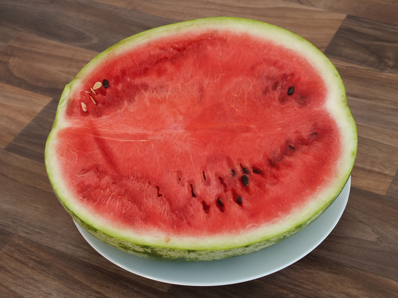    Фото: Victor Lisitsyn/Globallookpress