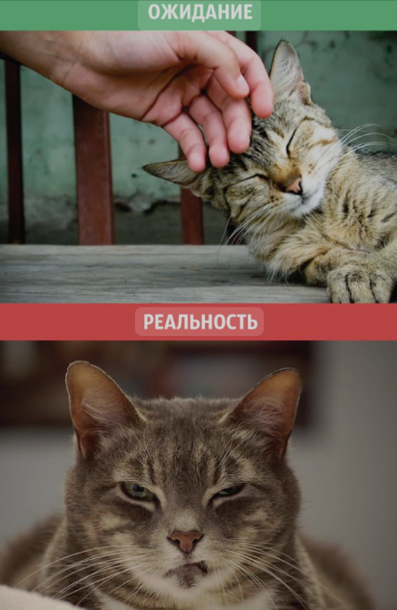 Изображение из сети Интернет*