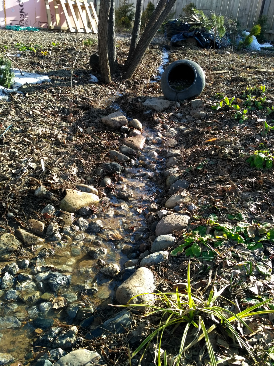 вешние воды в сухом ручье