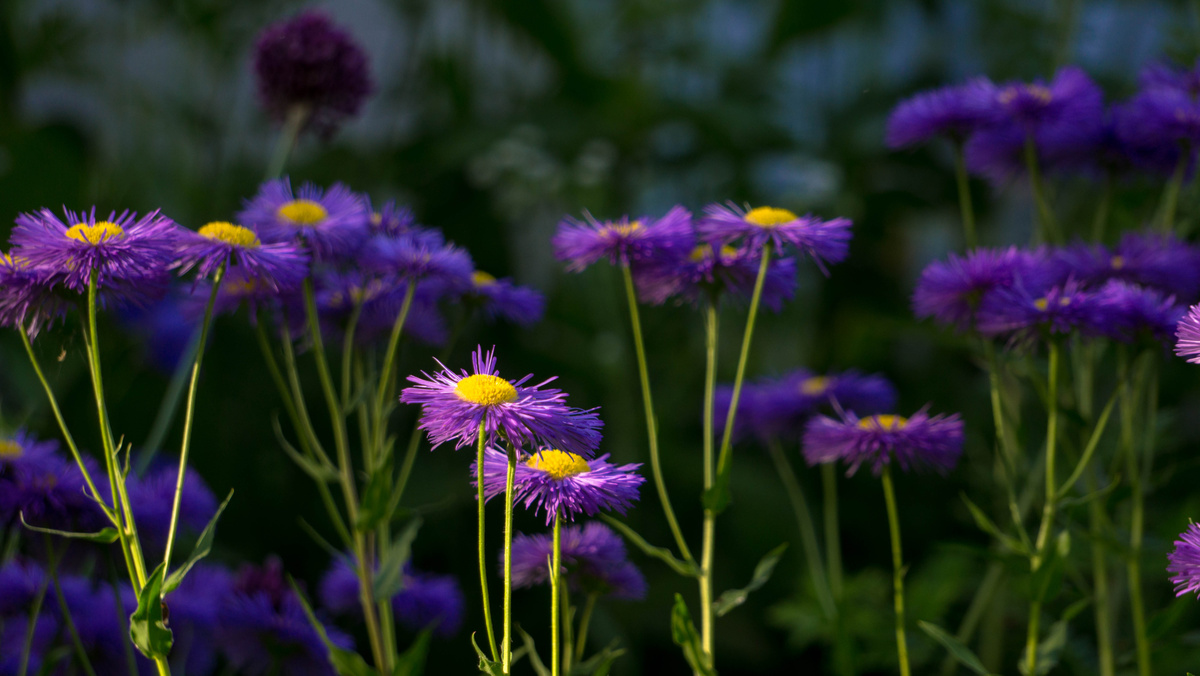 Личное фото автора
