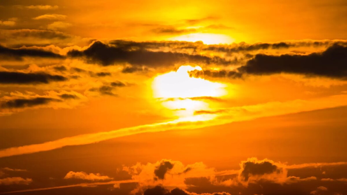     Источник: pxhere.com