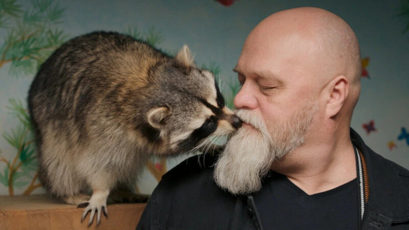    НОВЫЙ БЕРЛИН. Россия. 2023. Редакция