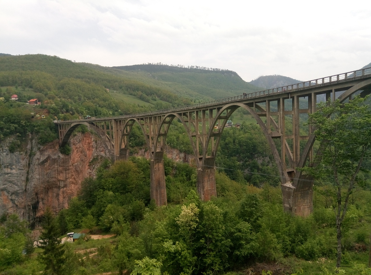 Мост через реку Тара