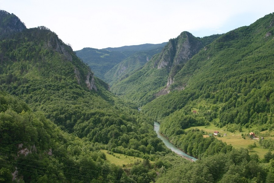 Каньон Тары