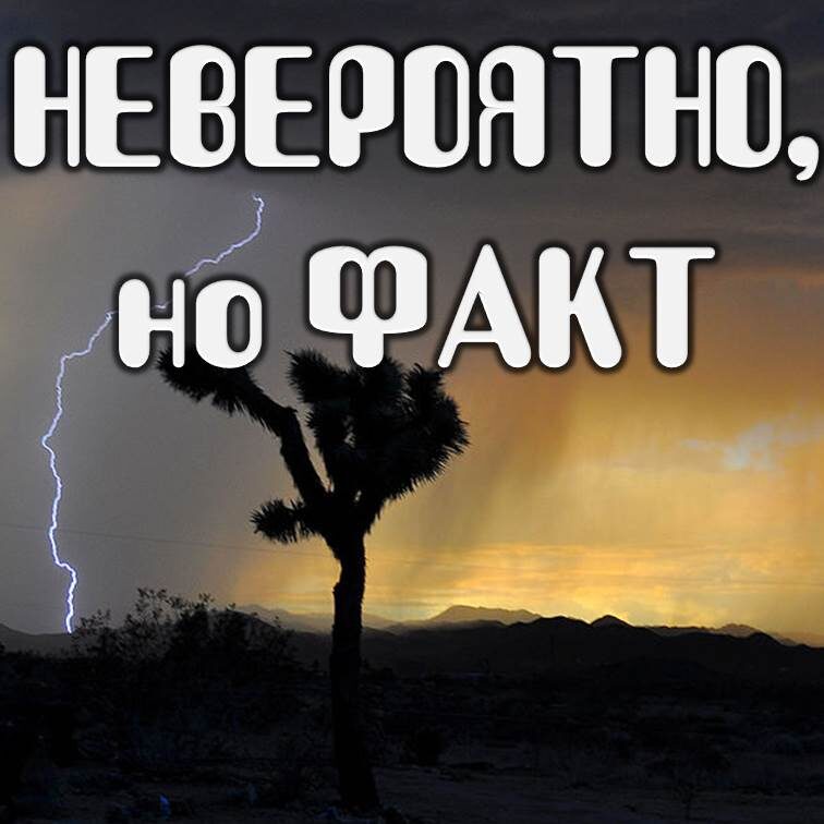 Picture background