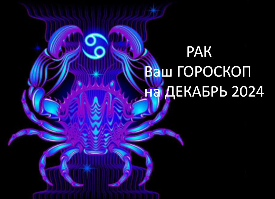 Фото из открытого источника 