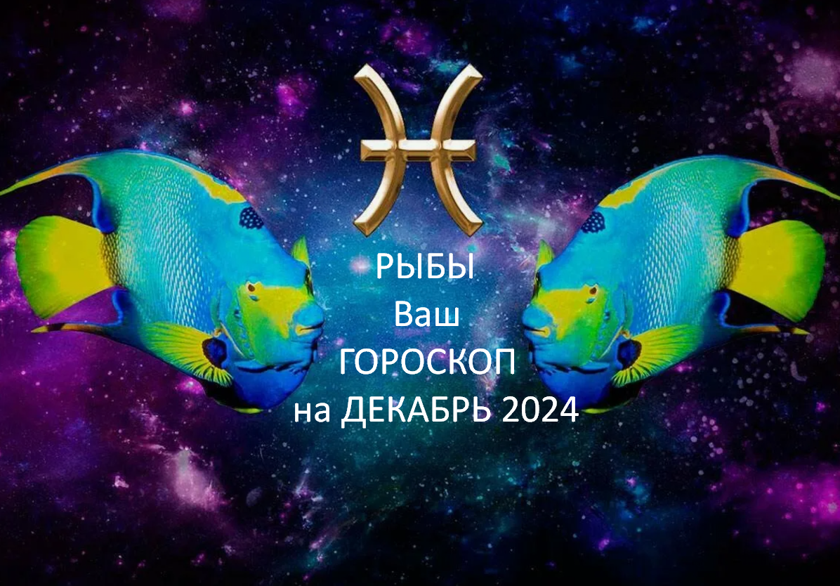 Фото из открытого источника 