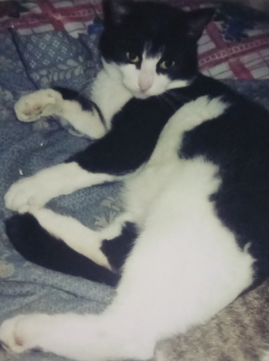 Фото из личного архива автора.