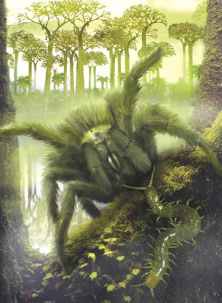 Старая реконструкция мегарахны