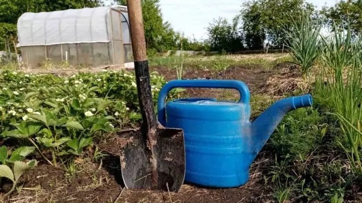 Фото с pinterest.com