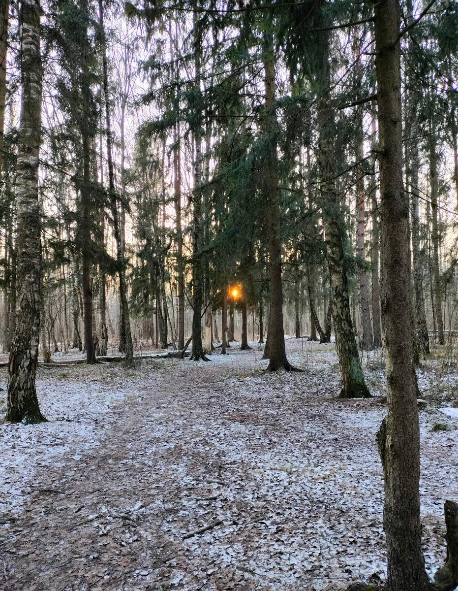 День перевоплощений и Прекрасный день в 2023 году. Фото автора 