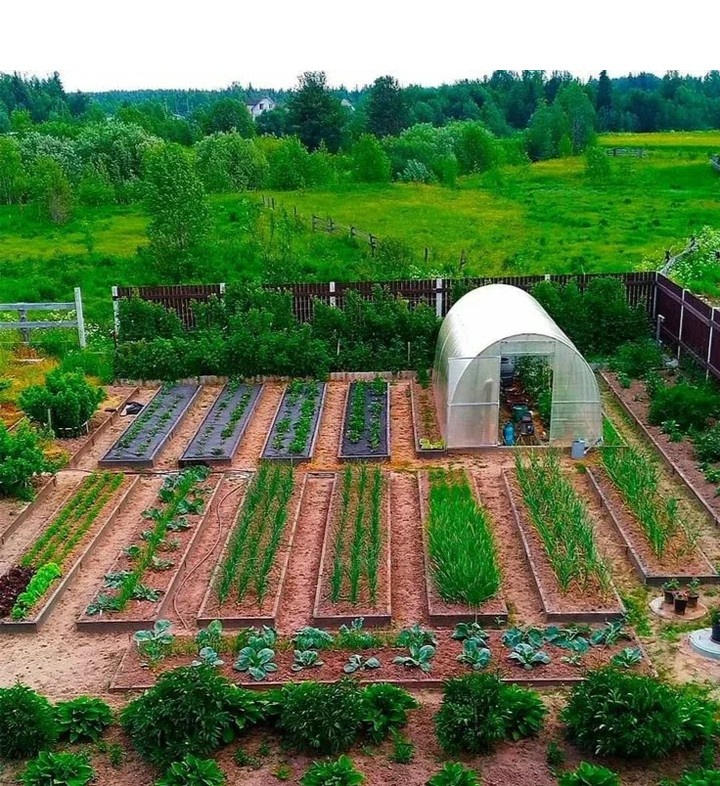 Яндекс картинки. Мечта ...