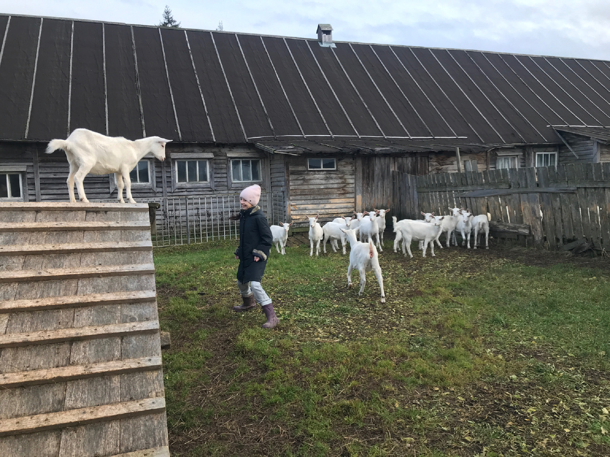 Фото автора