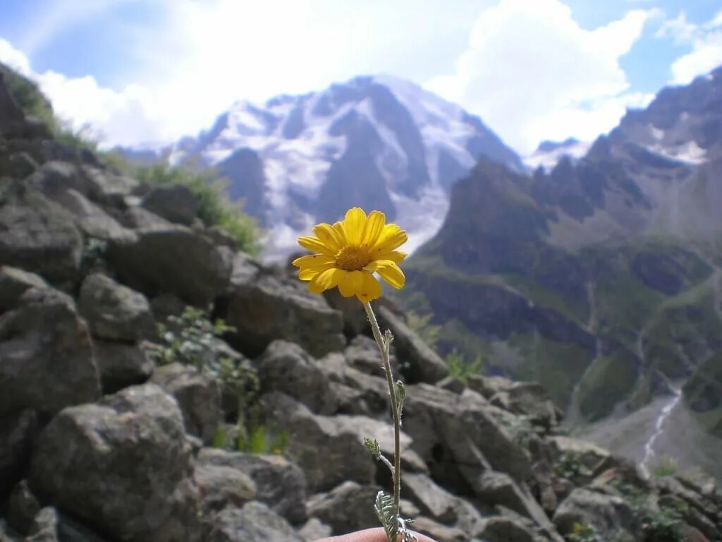 Изображение из открытых источников