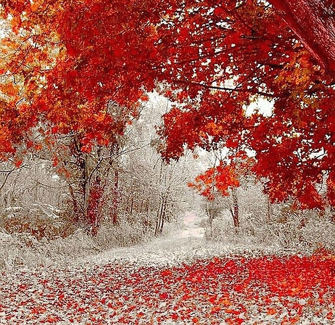 Изображение из открытых источников