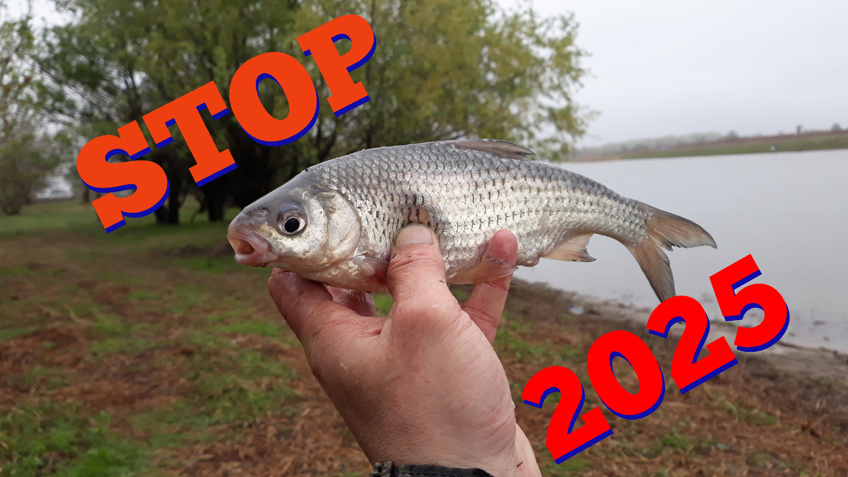 Фото взято из личного архива.