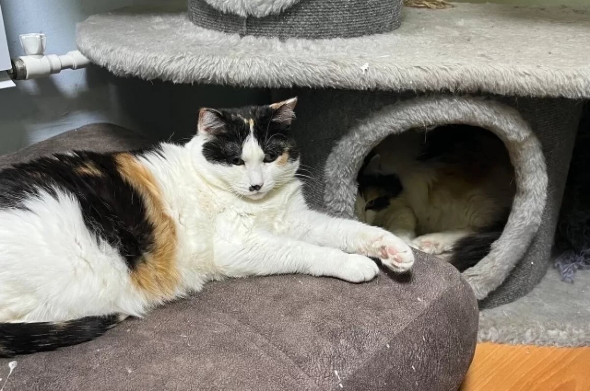    Поможем вместе.