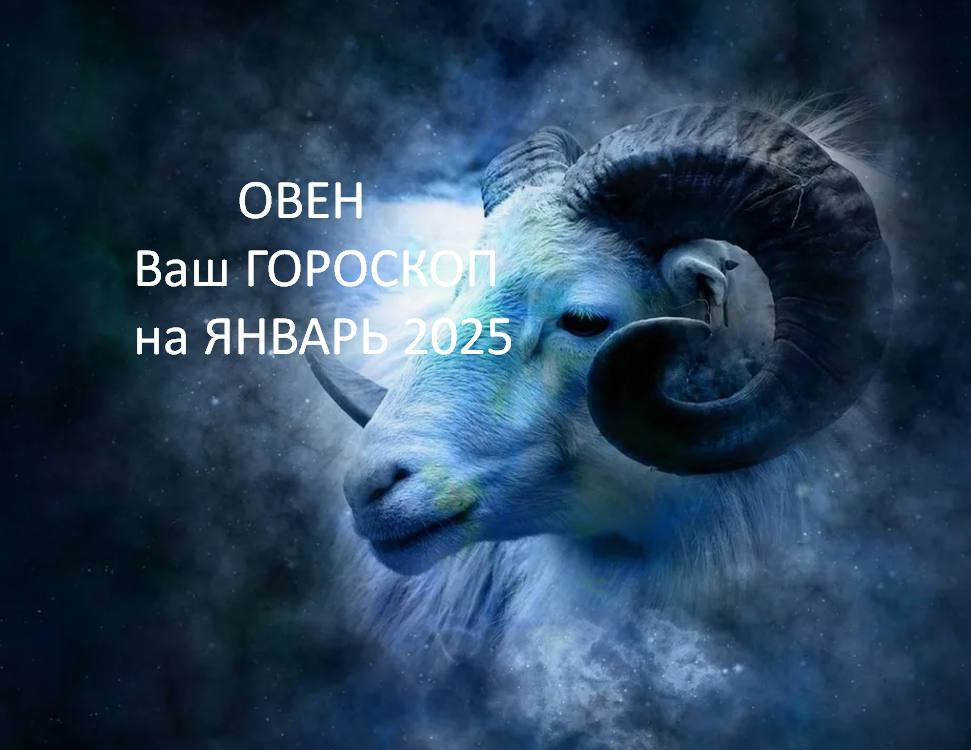 фото из открытого источника