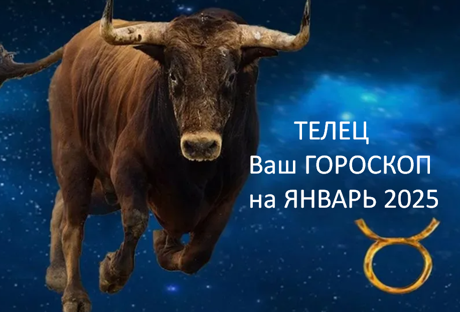 фото из открытого источника