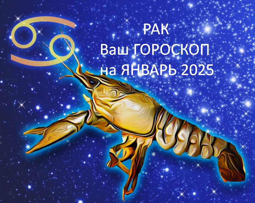 фото из открытого источника