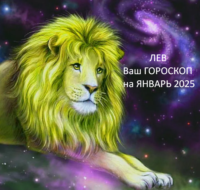 фото из открытого источника