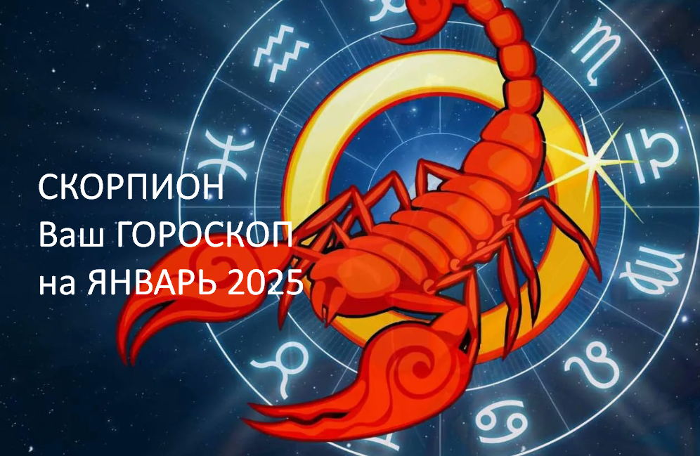 фото из открытого источника