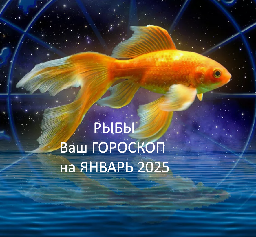 фото из открытого источника