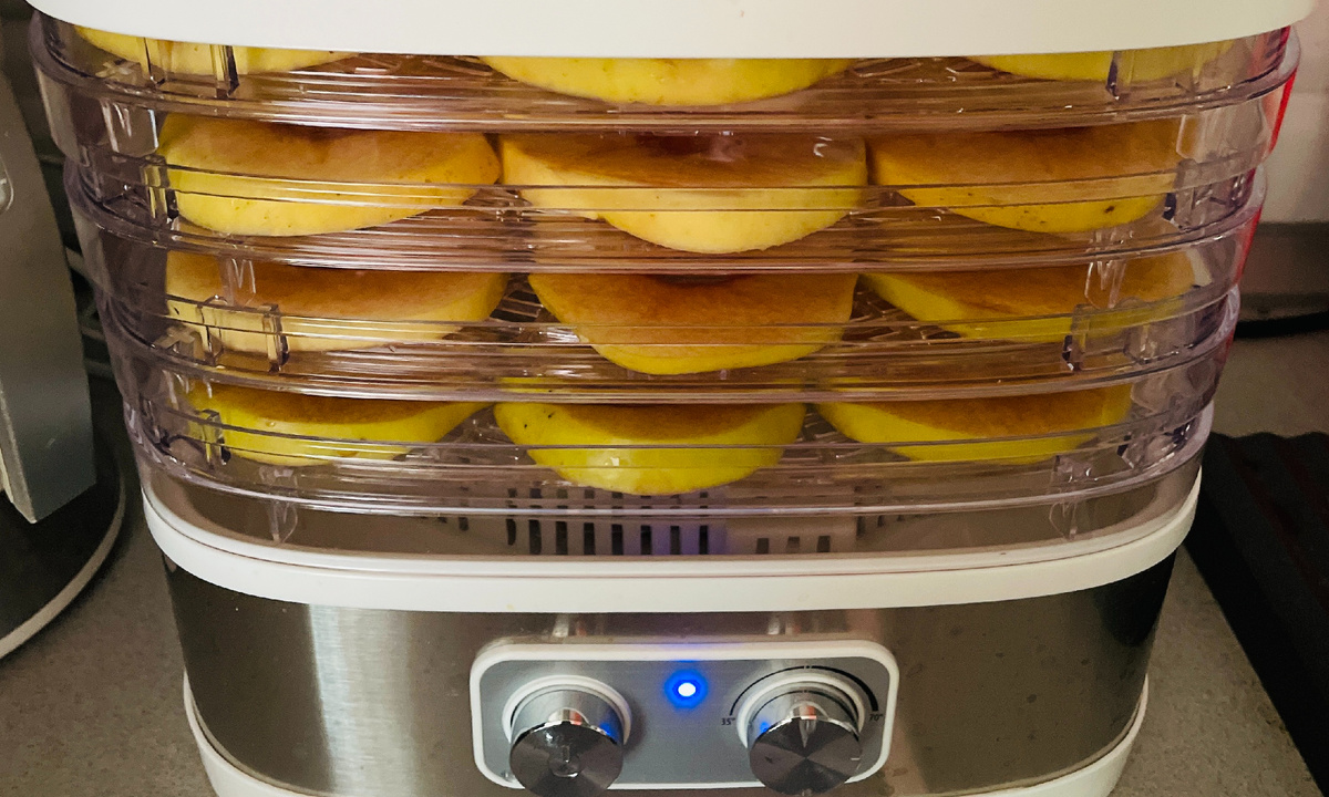 Сушу дачные яблоки Антоновку на зиму