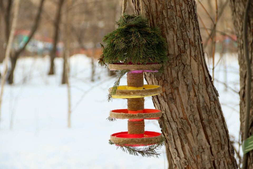    Парк имени Ленина. Источник: Виталий Барабаш