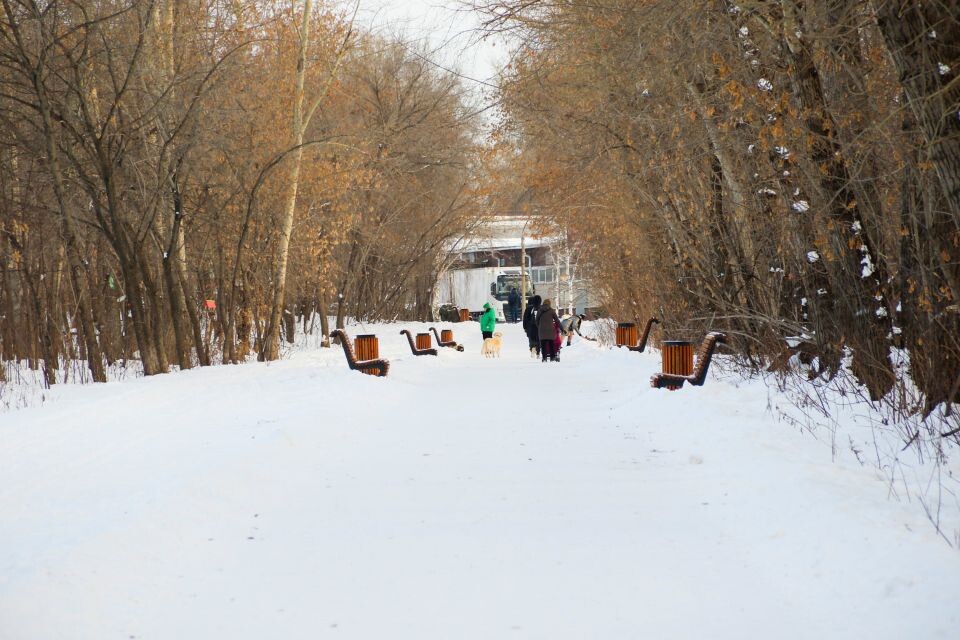    Парк имени Ленина. Источник: Виталий Барабаш