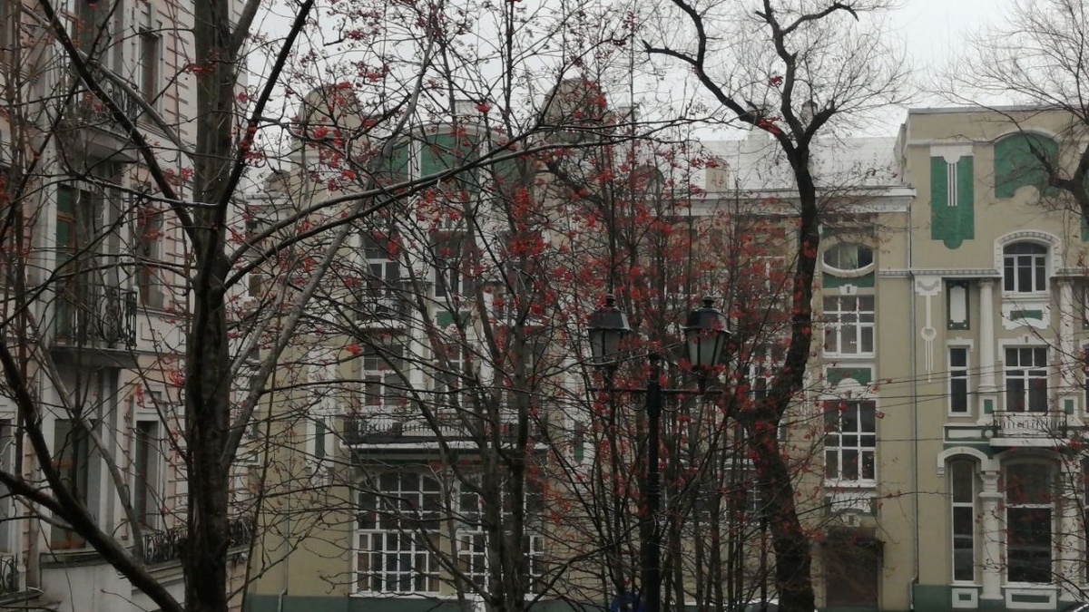     Источник: vostokmedia.com