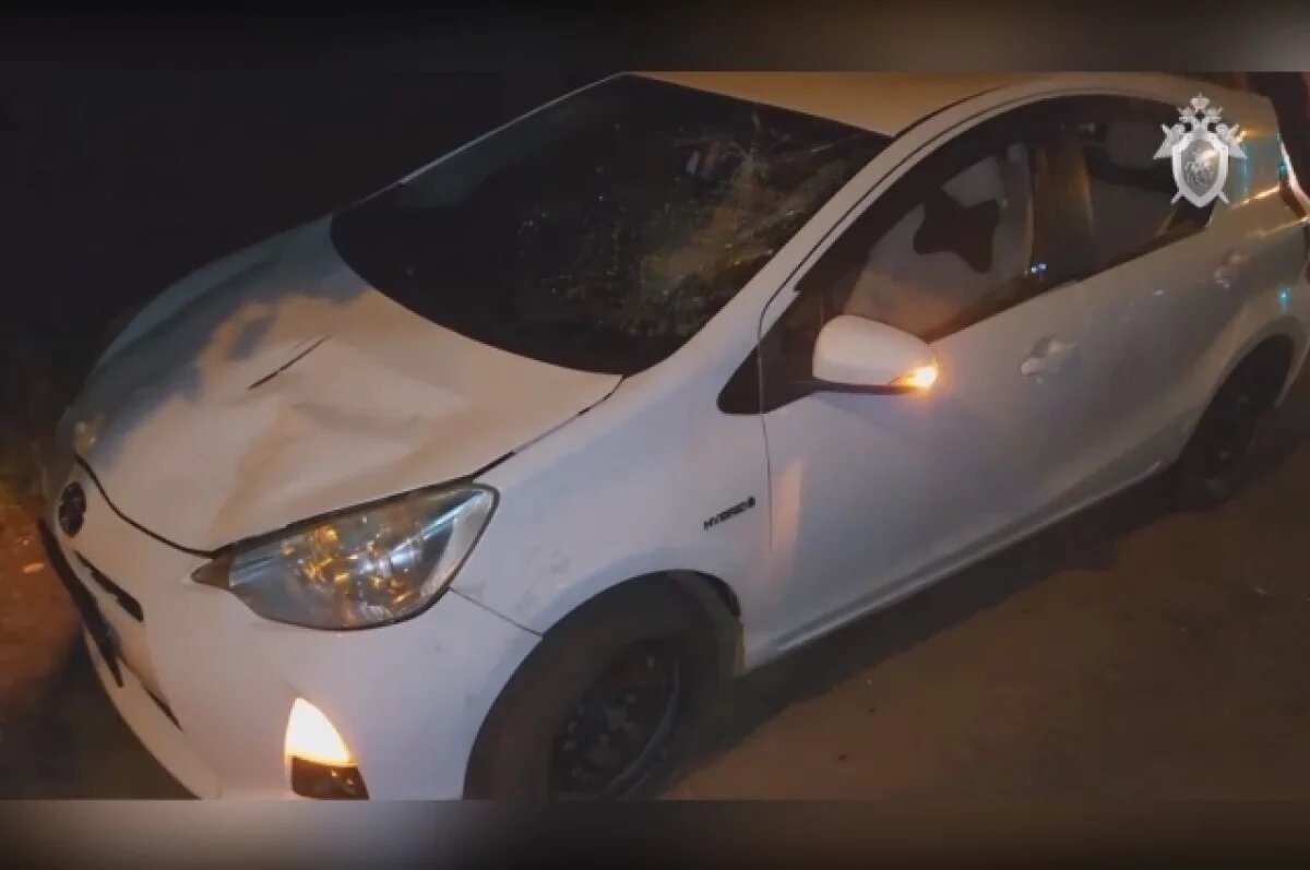    15 лет за попытку скрыться любой ценой получил мигрант в Хабаровске