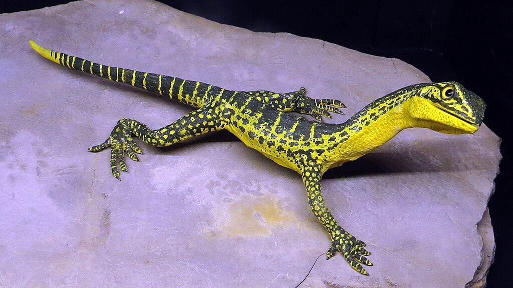 Впрочем, сухопутная мелочь, напоминавшая длинношеих ящериц, среди них тоже встречалась.