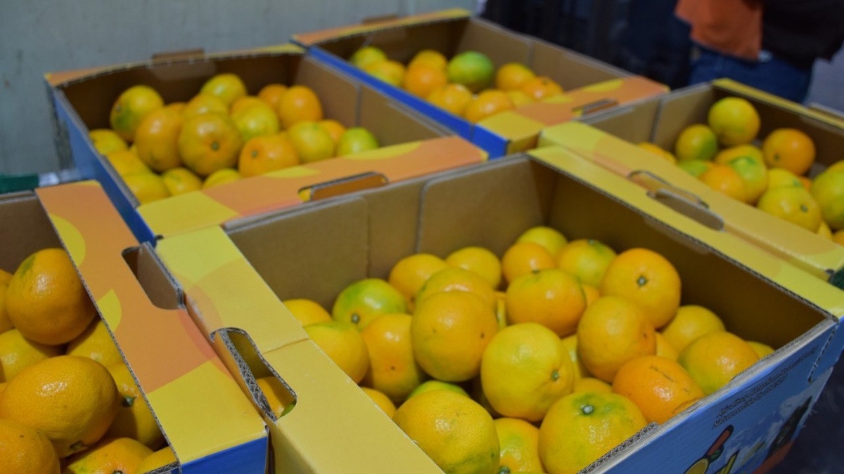     Источник: primorskfsvps