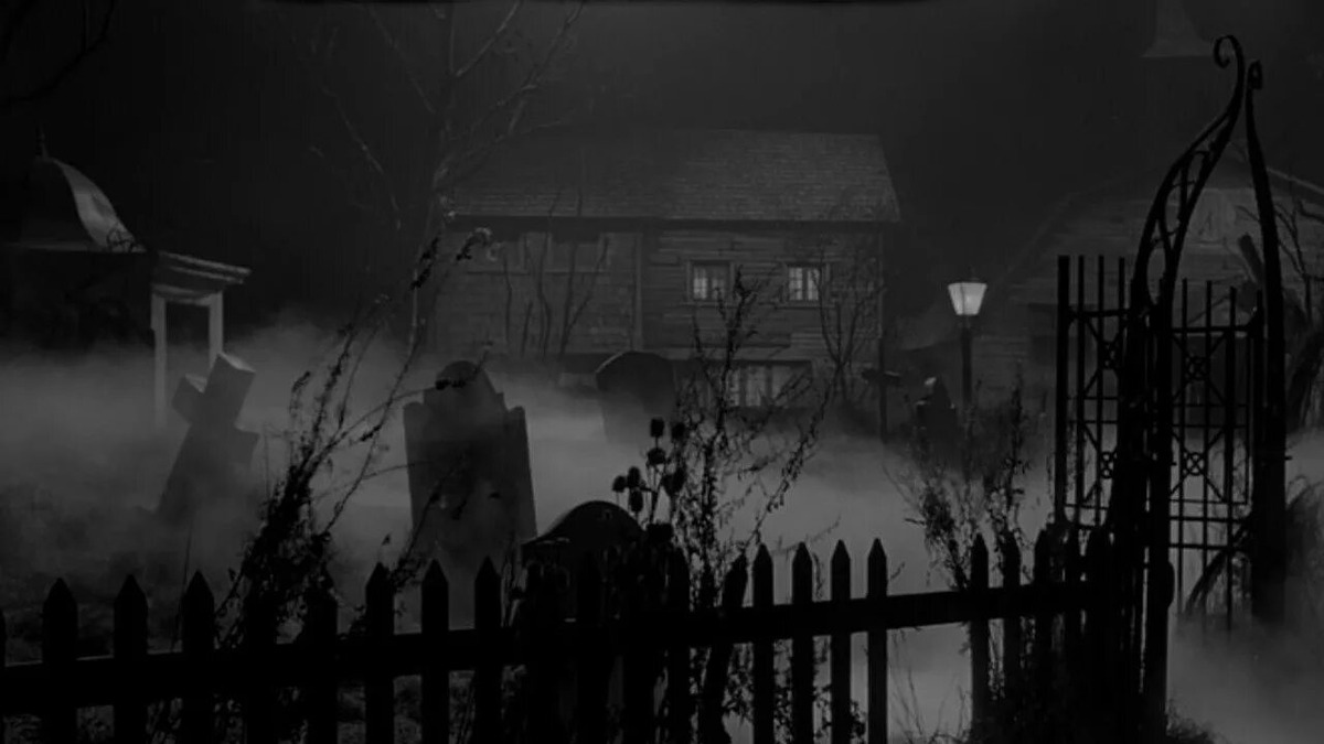 Изображение взято из открытых источников интернета. 