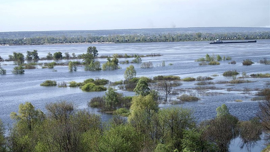 Пойменные луга Камы